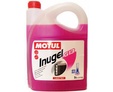 Антифриз MOTUL Inugel G13 - 5 л.: 6a68b929ccc2ed601fa9dfb5001323f4