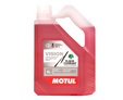 MOTUL Vision Black Currant -20°C - 4 л.: 6812ed5f72bfdc1e572955d124e4d52c