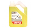 MOTUL Vision Sweet Melon -20°C - 4 л.: c71c7d89a1f39860a1898ef19b43c191